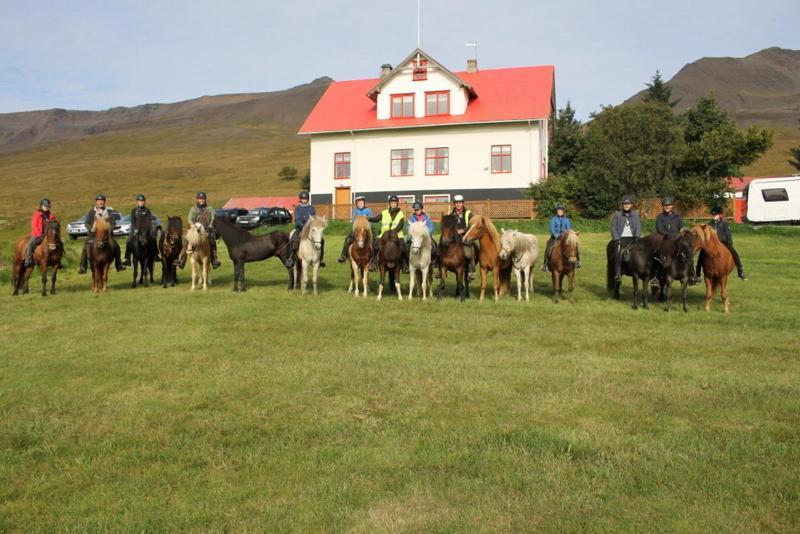 Ferthaþjonustan Geitaskarthi Bed and Breakfast Blonduos Exteriör bild